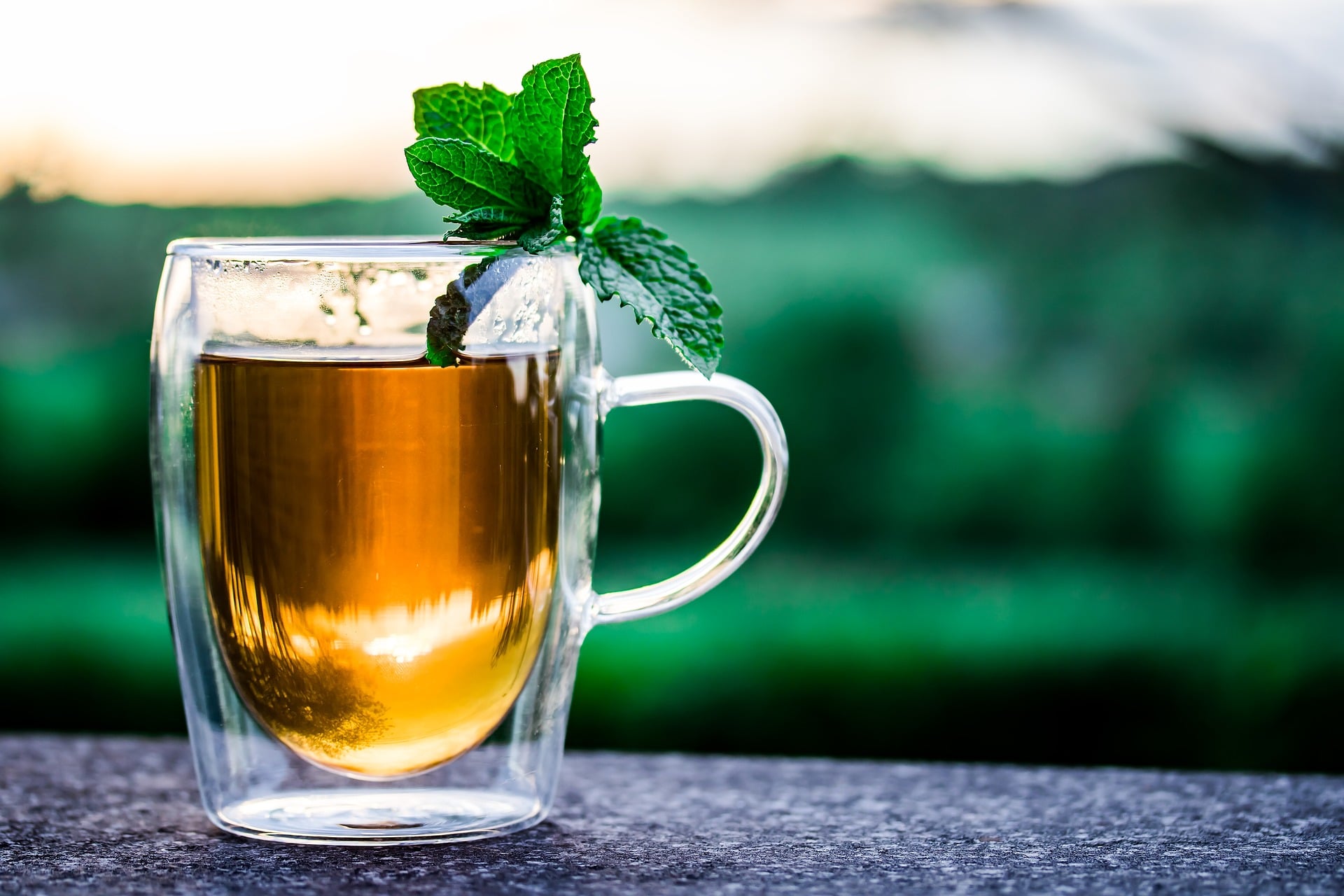 cup of tea green tea and dental health
